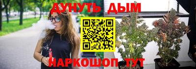 молекула духа Будённовск