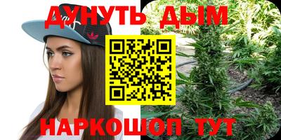 молекула духа Будённовск
