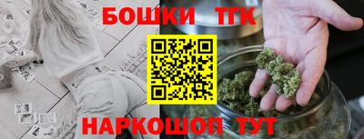 молекула духа Будённовск