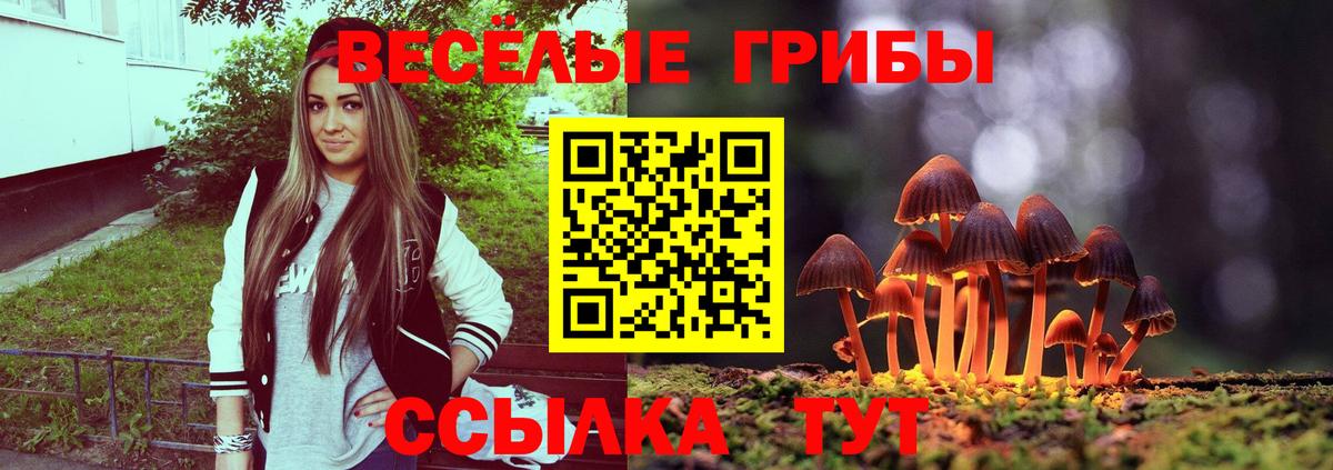 Галлюциногенные грибы GOLDEN TEACHER Нововоронеж