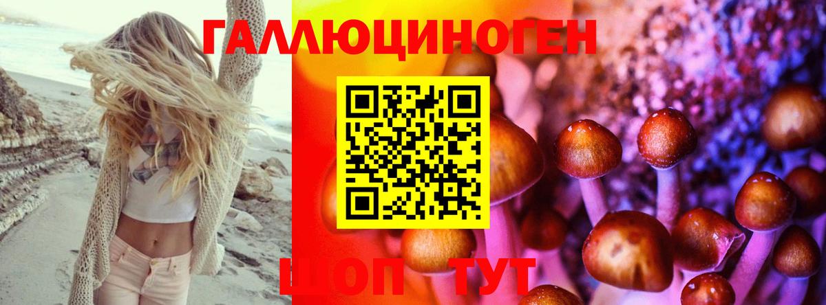 Псилоцибиновые грибы GOLDEN TEACHER  Вход с VPN  Нововоронеж  Галлюциногенные грибы GOLDEN TEACHER 