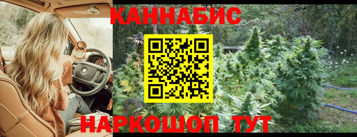Бошки марихуана сатива Нововоронеж